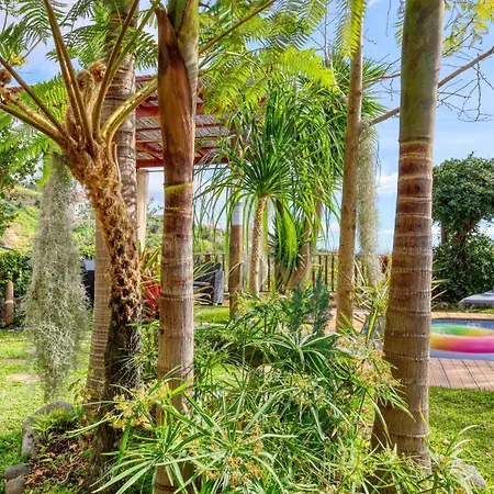 Ricardo House, A In Madeira